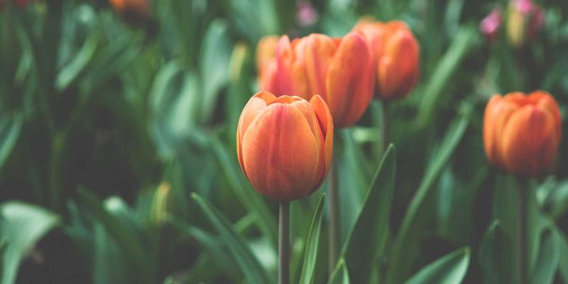 乐乐106144：打造有温度的本地生活平台，连接社区资讯与活动