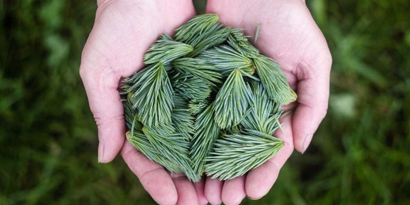乐乐106148：连接社区温度，打造本地生活新生态