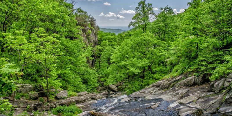 乐乐106154:连接你我,打造有温度的本地生活新平台