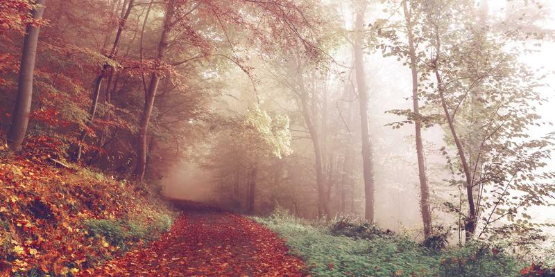 乐乐106163:连接邻里温度,打造地方生活新生态