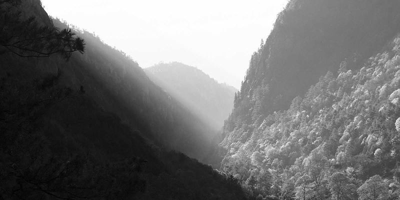 乐乐106166：连接地方生活与社区活动的数字新家园