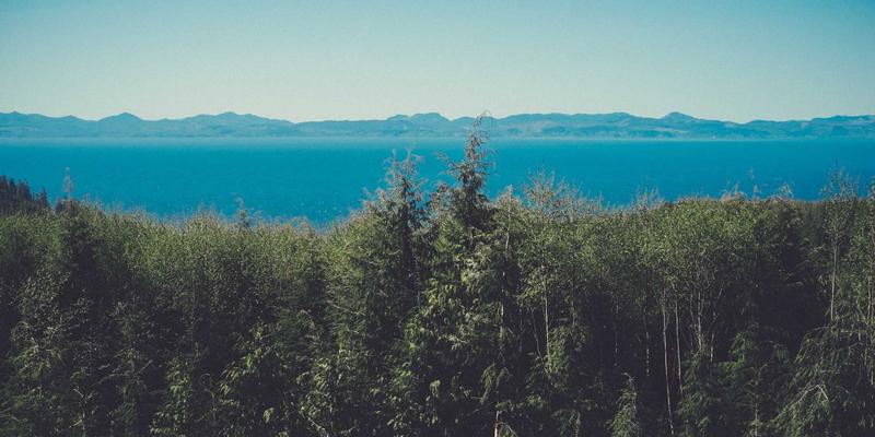 乐乐106182：一站式地方生活服务平台，让便捷触手可及