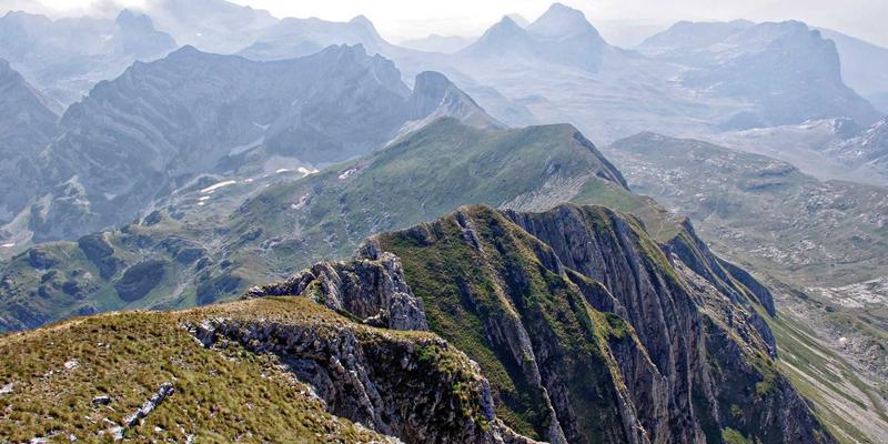 乐乐106185：本地新闻与社区活动的最新资讯指南