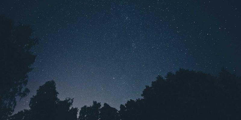 乐乐106190：深耕地方生活，打造有温度的本地资讯新生态