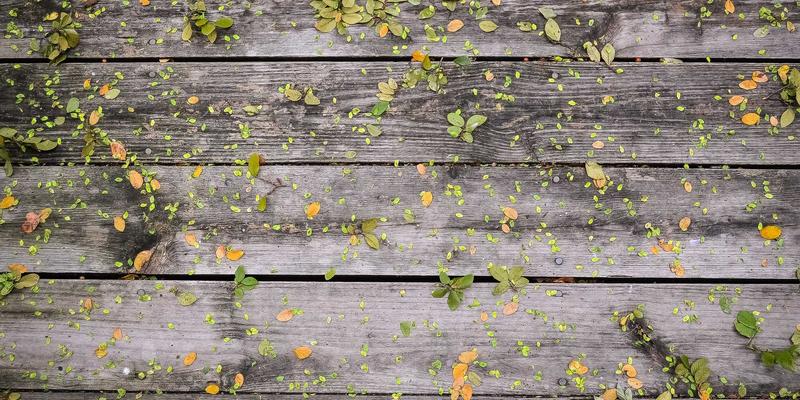 乐乐106195：用声音点亮城市，打造本地生活新生态
