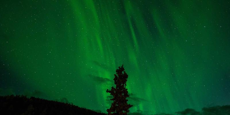 乐乐1061商业广告本地化叙事：如何借力本地资讯与生活平台，让品牌广告融入社区故事提升效果