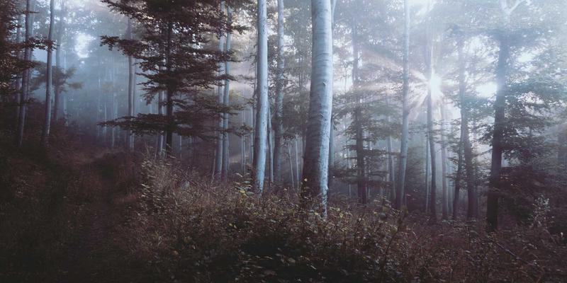 乐乐1061：突发事件中的社区守护者——本地电台如何成为应急信息与社区动员的核心枢纽