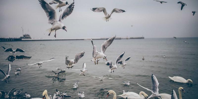 乐乐1061趋势：从电台频率到地方生活平台的进化之路