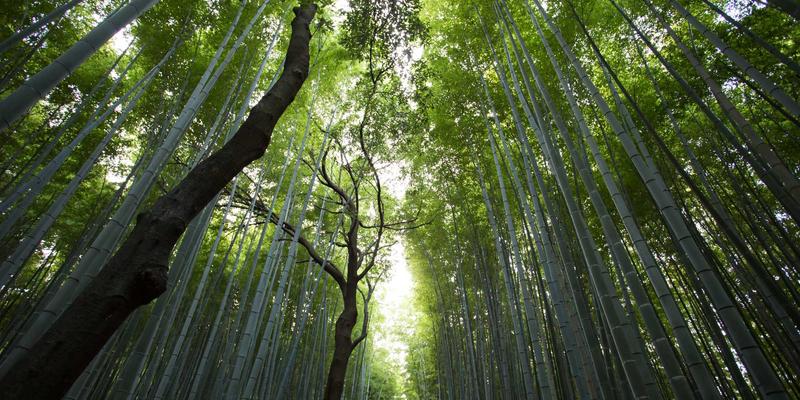 乐乐1061:连接社区脉搏,点亮地方生活的温暖电波