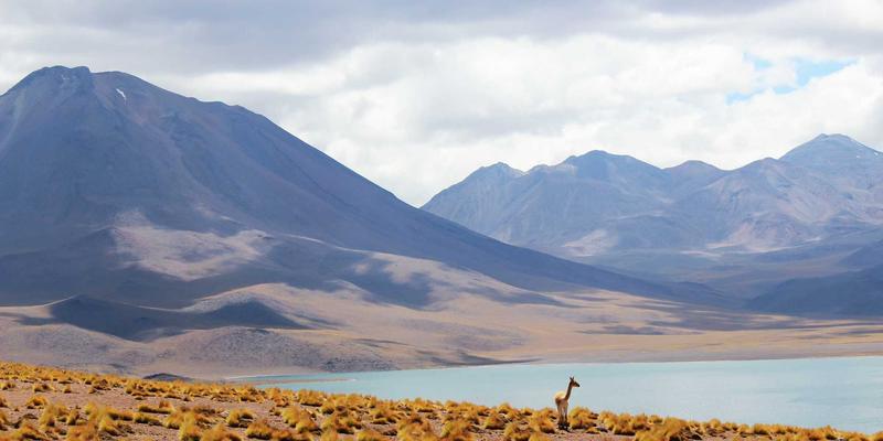 地方生活平台如何成为本地商家口碑放大器？乐乐1061广告的商业故事讲述之道
