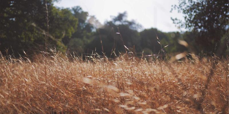 本地资讯新力量：解析乐乐1061如何通过广播节目驱动社区探店与餐饮消费热潮