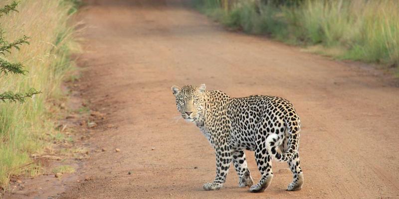 深耕社区服务，传播本地声音：乐乐1061如何成为本土音乐人与地方特色的音乐桥梁
