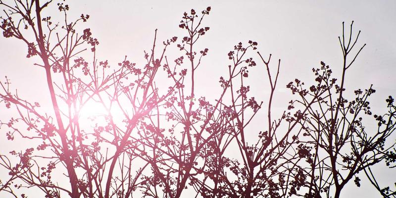 社区服务与本地资讯如何唤醒城市？解析乐乐1061早高峰节目的社区活动运营之道